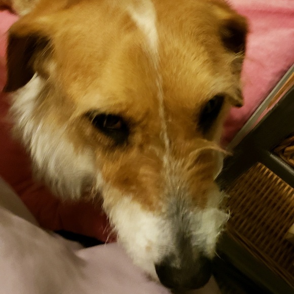 Meet your Posher, Marah - Picture 1 of 1